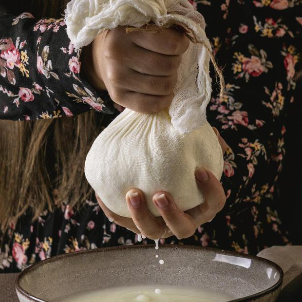 taller tradicional de elaboracion de quesos de cabra