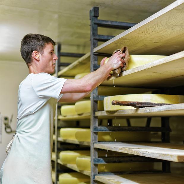 local de produccion y maduracion de quesos de cabra